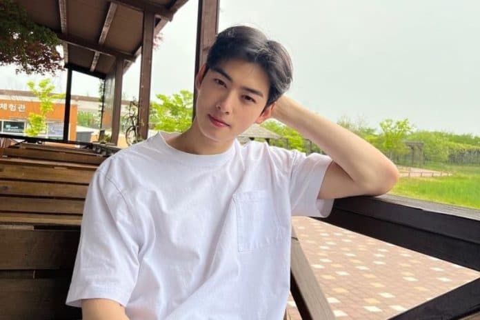 cha_eun_woo_ditawari_main_film_k_pop_lost_in_america