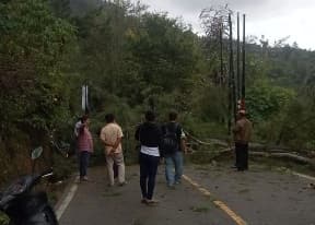 cuaca_ekstrem_bpbd_simalungun_peringatkan_bahaya_pohon_tumbang
