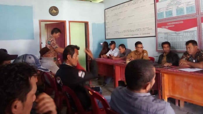 dana_pengadaan_bibit_ternak_babi_di_taput_bermasalah_direktur_bumdes_diminta_tanggungjawab