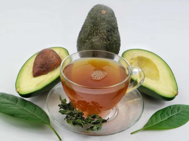 daun_alpukat_ternyata_bisa_mengatasi_darah_tinggi