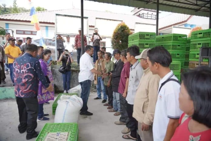 delapan_kube_di_pakpak_bharat_terima_bantuan_ternak_ayam