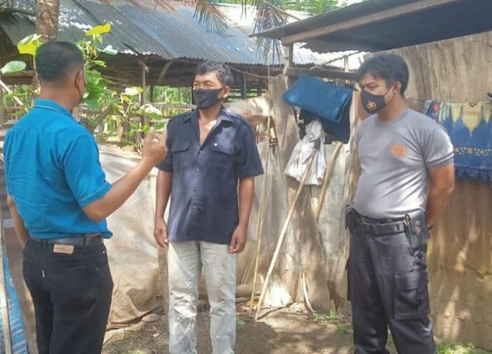 deteksi_pmk_peternak_diimbau_kandangkan_sapi