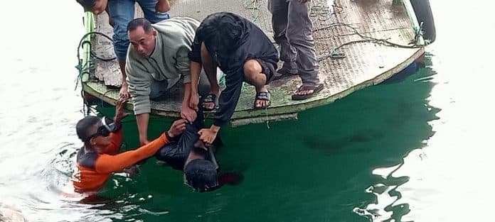 diduga_korban_tabrak_lari_pengendara_satria_fu_tewas_tenggelam_di_tao_silalahi_dairi