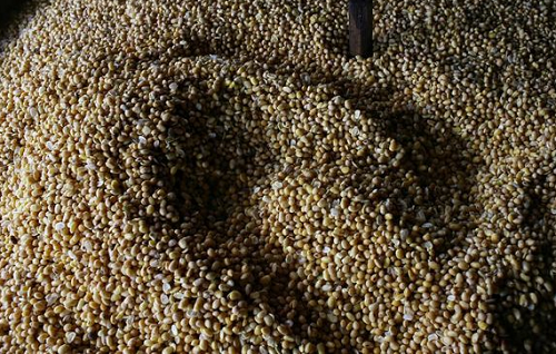 dikaji_perpanjangan_subsidi_kedelai_untuk_perajin_tahu_di_2023