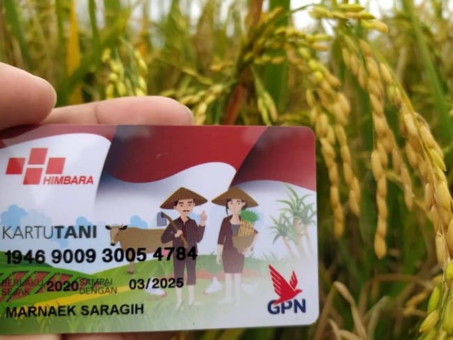 dilema_pupuk_subsidi_di_simalungun_setelah_langka_kini_harganya_malah_mahal