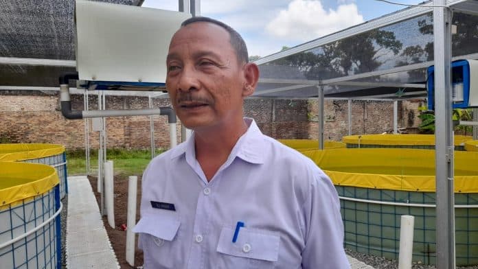 dinas_ketapang_dan_pertanian_mewaspadai_hewan_kurban_terinfeksi_pmk_jelang_idul_adha