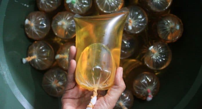 disperindag_simalungun_programkan_pembagian_minyak_curah_untuk_ikm_seharga_rp14_ribu_per_liter
