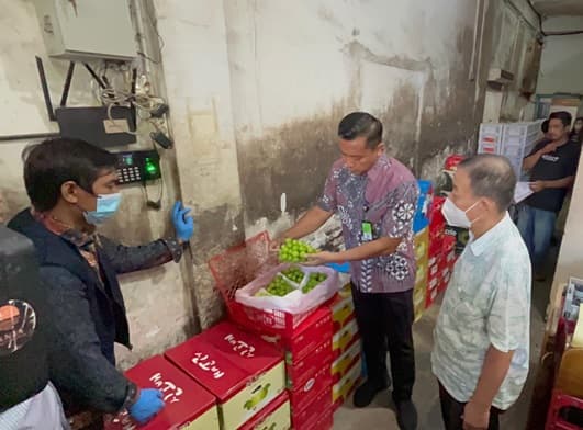 dkp3_kota_medan_cek_anggur_shine_muscat_yang_diduga_mengandung_kimia