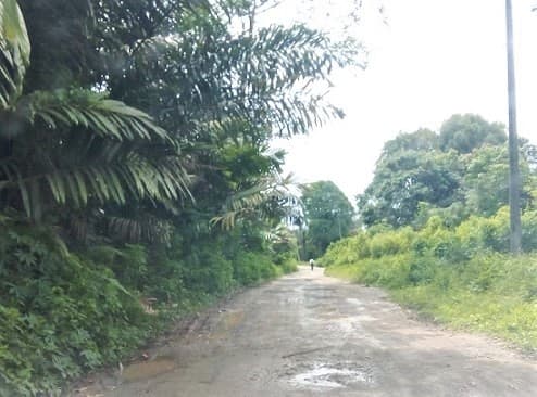 dprd_taput_berharap_pembangunan_jalan_hotmix_menuju_garoga_dilanjutkan
