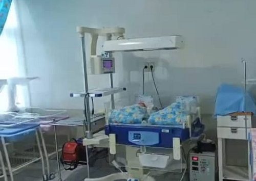 dua_bayi_lahir_di_rsia_rosiva_medan_saat_hut_ri_ke_77