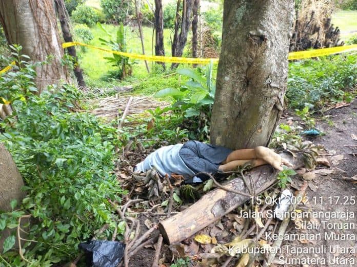 dua_bersaudara_perang_mulut_abang_kandung_tewas_dipukul_adik_di_taput