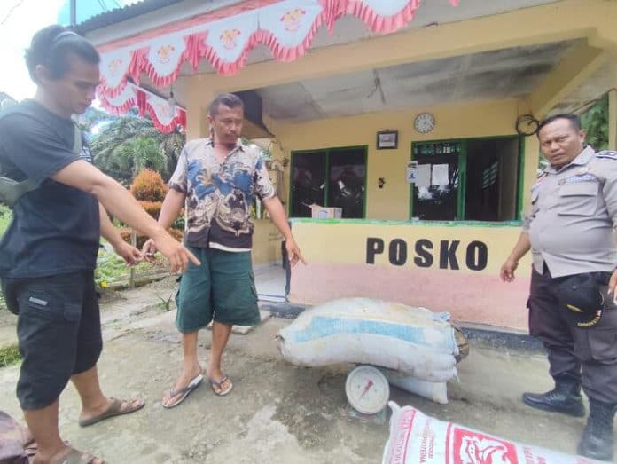 dua_orang_pencuri_sawit_ditangkap_pengamanan_kebun_marjandi