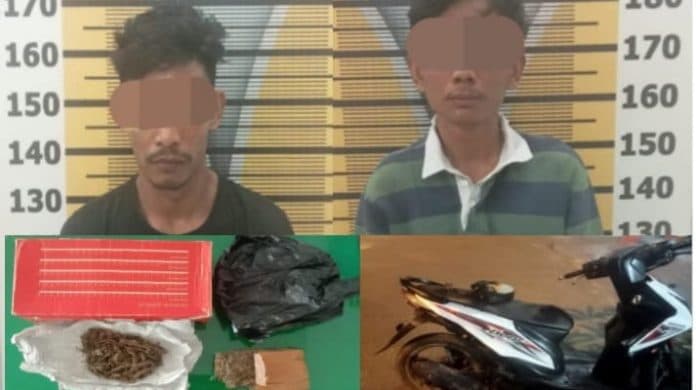 dua_pemuda_warga_tebing_tinggi_diamankan_polisi_karena_miliki_ganja_273_gram