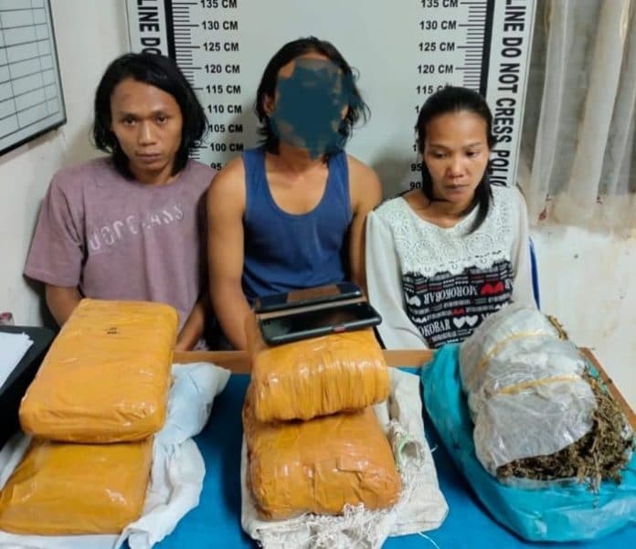 dua_pria_dan_satu_wanita_ditangkap_di_siantar_4_kg_ganja_disita