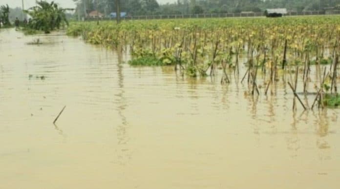 duh_ribuan_hektare_sawah_di_karawang_terendam_banjir