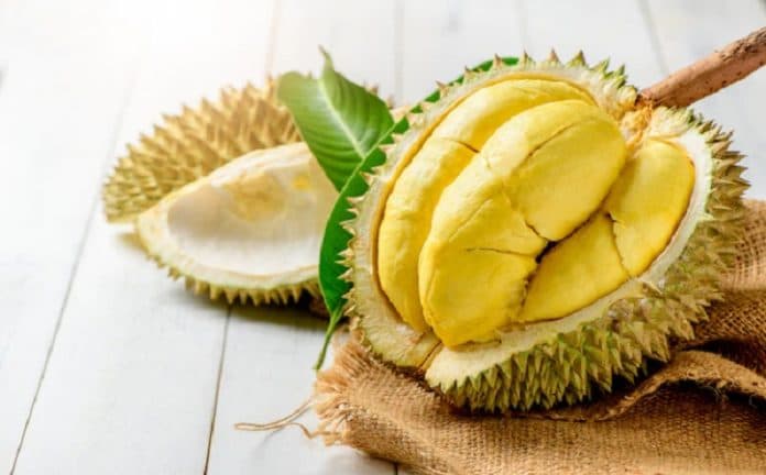 durian_diklaim_jadi_buah_singapura_netizen_ditanam_dimana