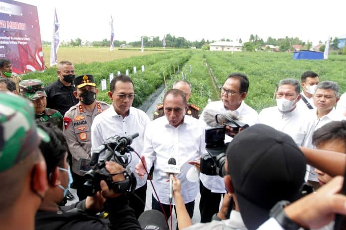 edy_soroti_permainan_tengkulak_dalam_pasokan_komoditas_cabai_merah_di_sumut