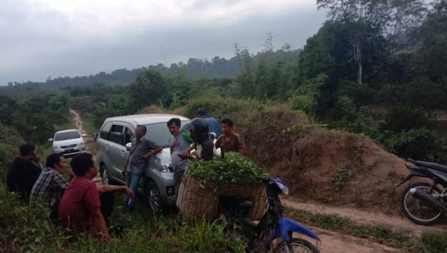 empat_gubuk_warga_dibakar_perseteruan_dua_kelompok_petani_di_kawasan_tngl_memanas