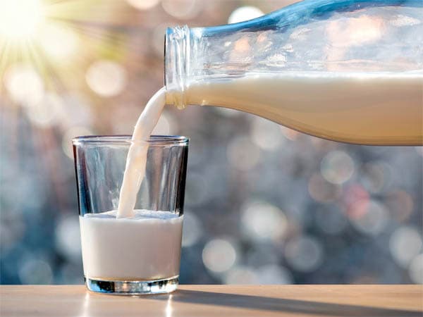 fda_temukan_fragmen_virus_flu_burung_di_susu_sapi