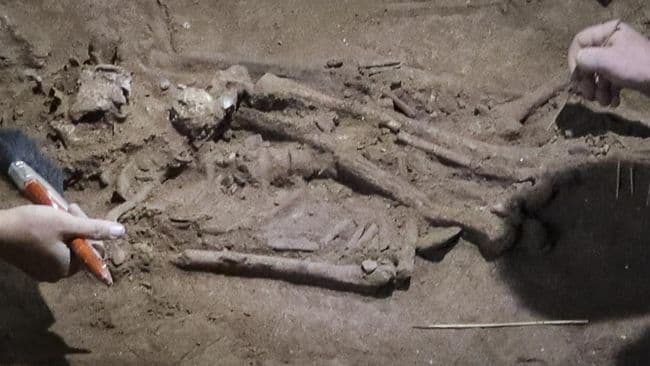 fosil_di_kalimantan_bukti_amputasi_pertama_di_dunia