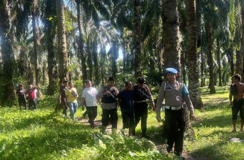 gkn_di_perkebunan_sawit_polres_labusel_tangkap_pengedar_sabu