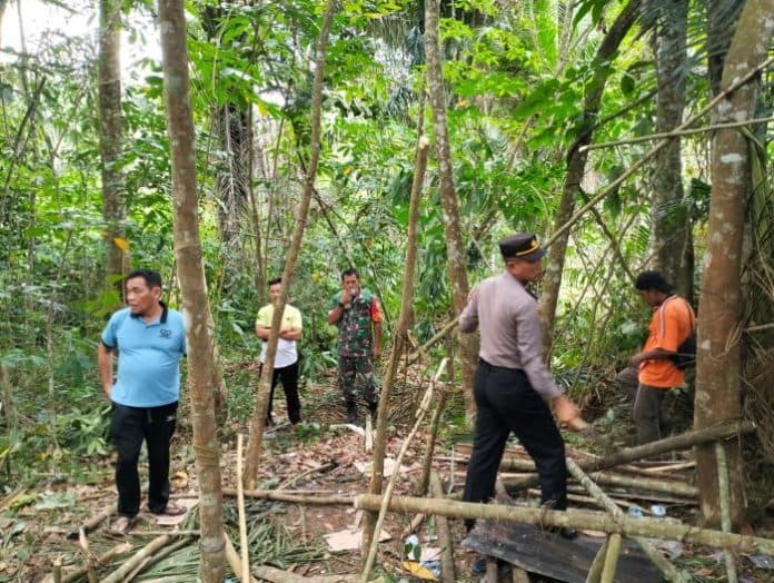 gubuk_lokasi_transaksi_narkoba_di_dolok_masihul_dibongkar_polisi