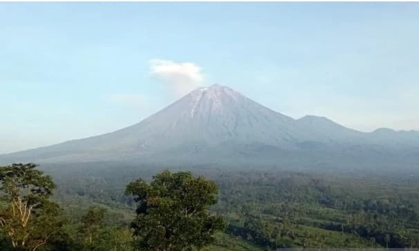 gunung_semeru_bergemuru_alami_21_kali_gempa_letusan