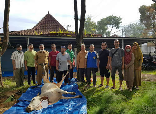 guru_sman_5_pematangsiantar_sembelih_dan_bagikan_hewan_kurban