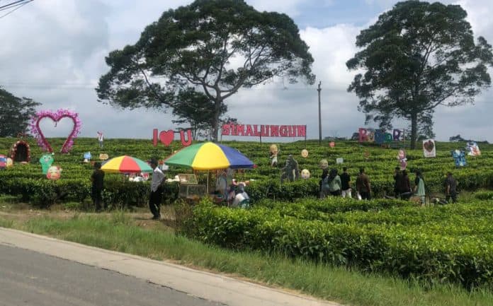 h2_lebaran_pengunjung_di_kebun_teh_sidamanik_mulai_ramai