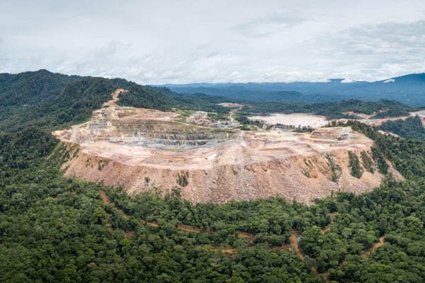habitat_orang_utan_harimau_sumatera_dan_trenggiling_terancam_akibat_eksplorasi_pt_ar