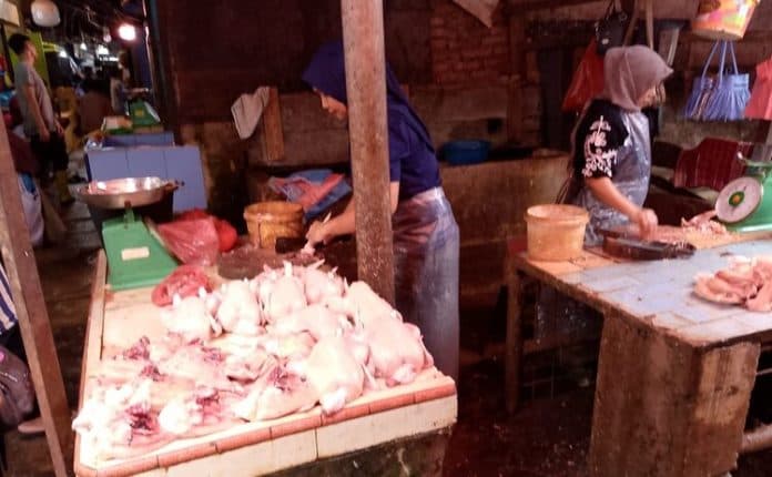 harga_ayam_di_siantar_berfluktuasi_pedagang_mengeluh