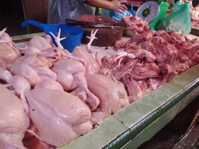 harga_ayam_potong_dan_tomat_di_siantar_kompak_naik_akhir_pekan_ini
