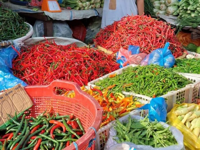 harga_cabai_anjlok_dinas_tph_sumut_produksi_tinggi_tapi_permintaan_rendah
