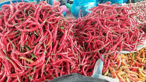 harga_cabai_merah_di_sumut_masih_tinggi_bisa_berlanjut_hingga_nataru