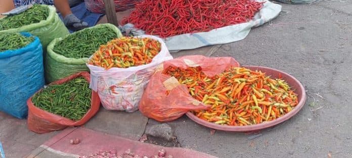 harga_cabai_rawit_dan_bawang_merah_mulai_turun_di_sumut
