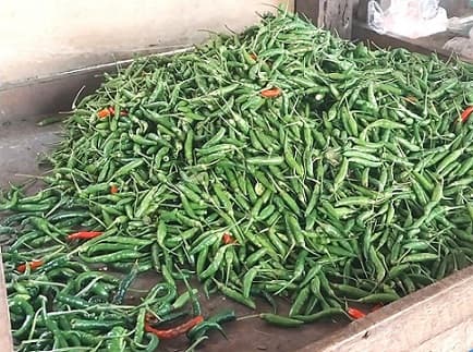 harga_cabai_rawit_dan_cabai_merah_serentak_naik_di_deli_serdang