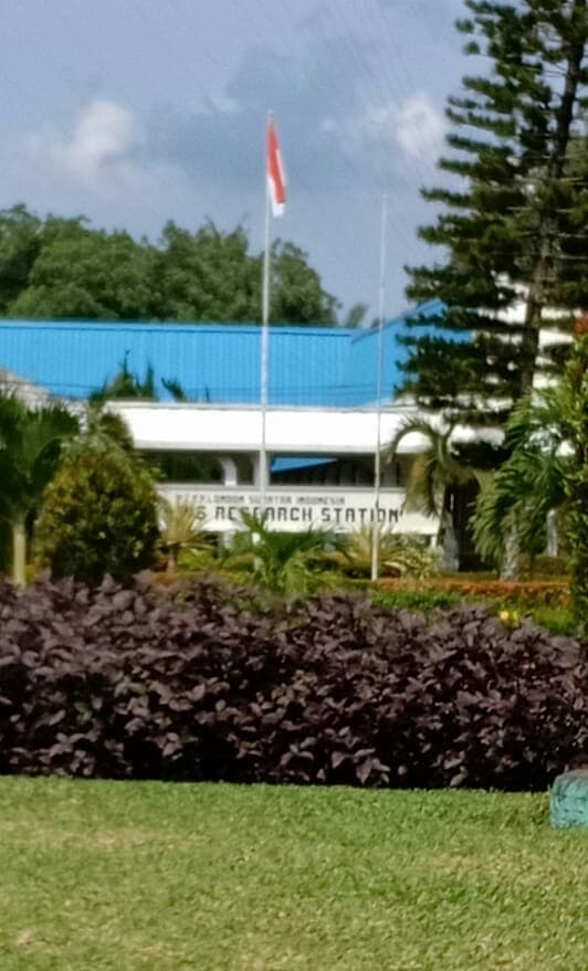 harga_cpo_anjlok_puluhan_bhl_pt_lonsum_phk_tanpa_pesangon