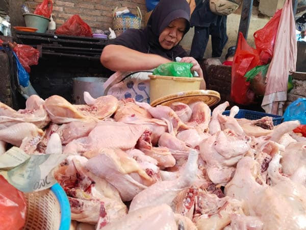 harga_daging_ayam_di_pasar_dwikora_bertahan_di_rp37000kg