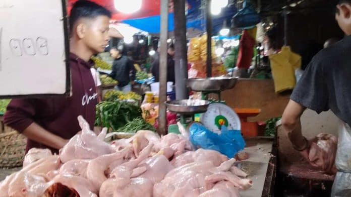 harga_daging_ayam_di_pematang_siantar_berangsur_turun_pembeli_masih_sepi