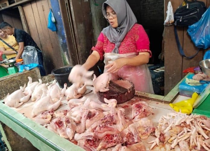 harga_daging_ayam_mulai_turun_di_siantar_pembeli_tapi_masih_mahal