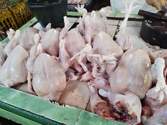 harga_daging_ayam_naik_di_pematang_siantar_hari_ini