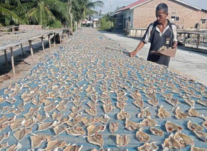 harga_ikan_asin_asal_kampung_taiwan_sergai_anjlok_menjelang_hut_ri
