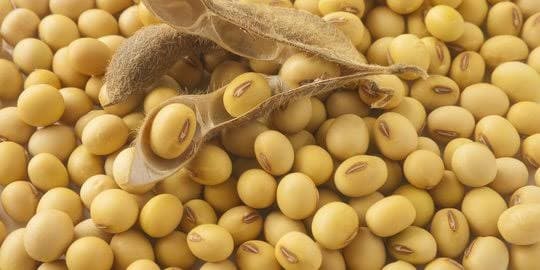 harga_kacang_kedelai_naik_di_sumut_kadisperindag_ungkap_alasannya