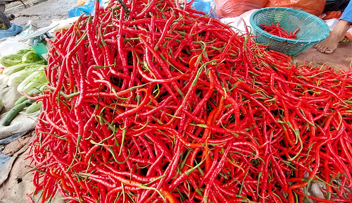 harga_masih_tinggi_di_siantar_kadis_kumperdag_temui_pedagang_cabai
