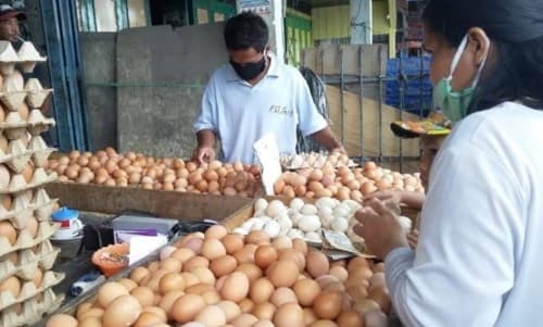 harga_pakan_naik_harga_telur_ayam_pun_naik_di_siantar