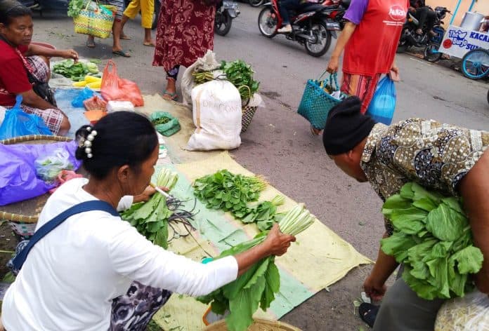 harga_sayur_sawi_melonjak_naik_sampai_100_persen_lebih_di_pasar_tradisional_siantar