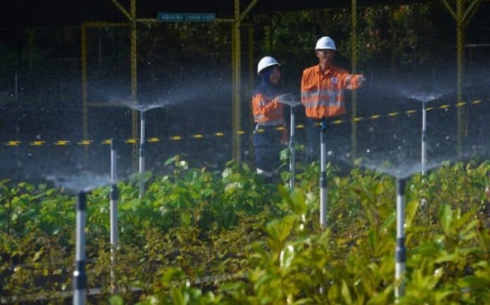 hari_lingkungan_hidup_ptar_tanam_ribuan_pohon_dan_perluas_nursery