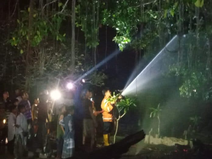 heboh_pohon_berusia_ratusan_tahun_terbakar_di_serdang_bedagai