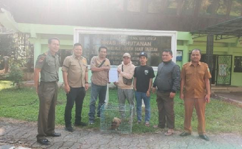 hendak_dikonsumsi_elang_bondol_ditebus_warga_karo_dan_diserahkan_ke_bksda_sumut