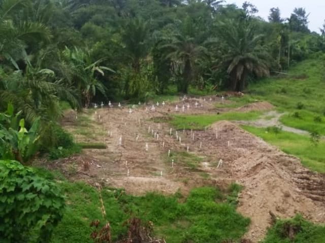hingga_13_oktober_567_pasien_covid_19_dimakamkan_di_simalingkar_b_medan